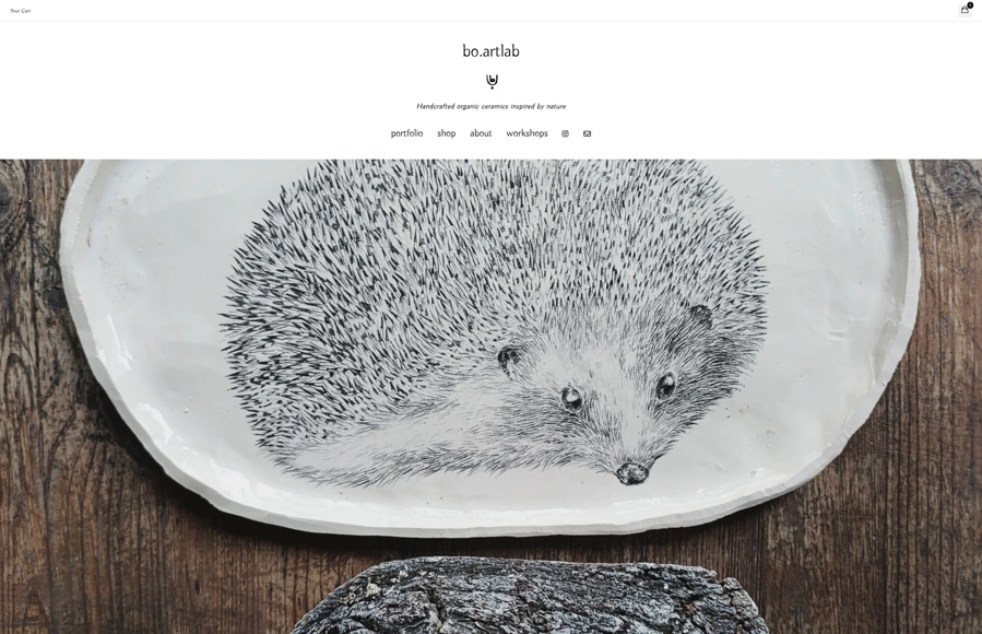 Screenshot from www.boartlab.com