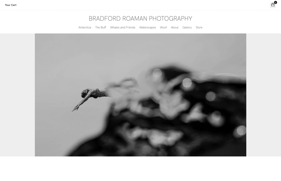 Screenshot from www.bradroamanphotography.com