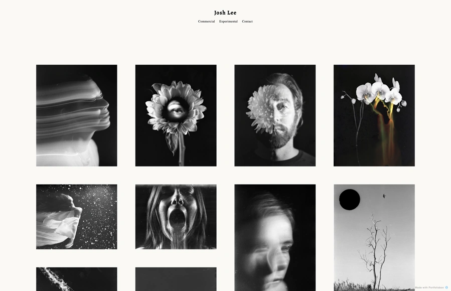 Screenshot from www.byjoshlee.com