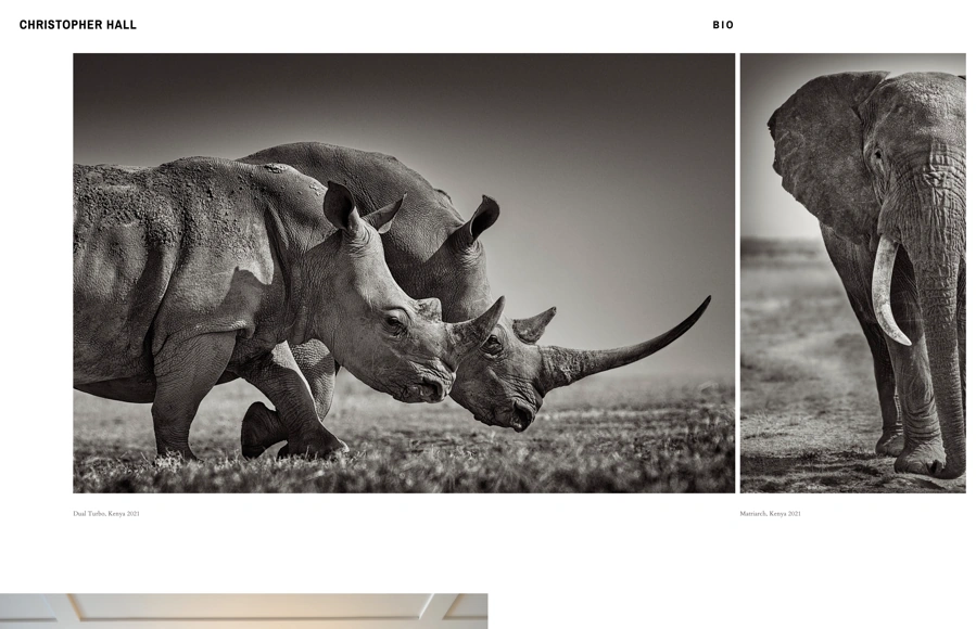 Screenshot from www.cg-hall.com