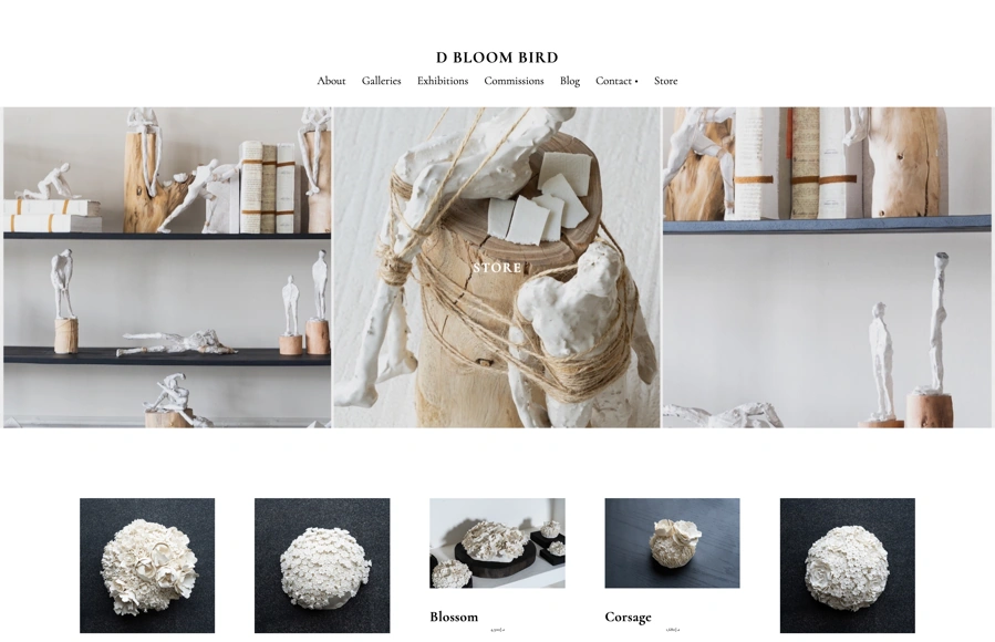 Screenshot from www.dbloombird.com