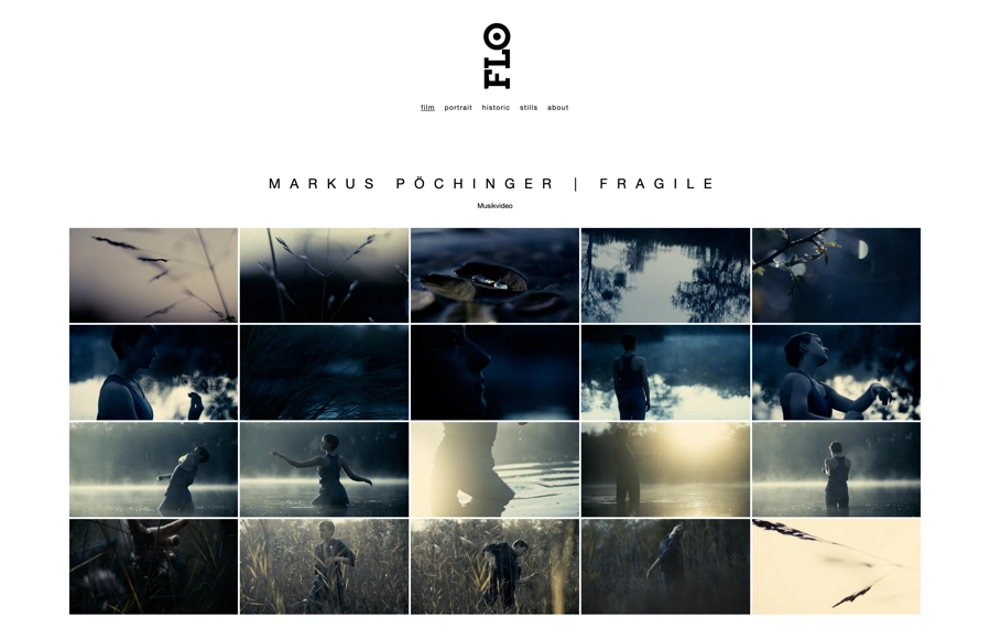 Screenshot from www.flohanatschek.com