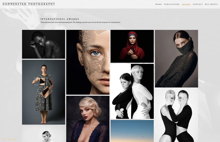 Screenshot from www.hammerstadphotography.com