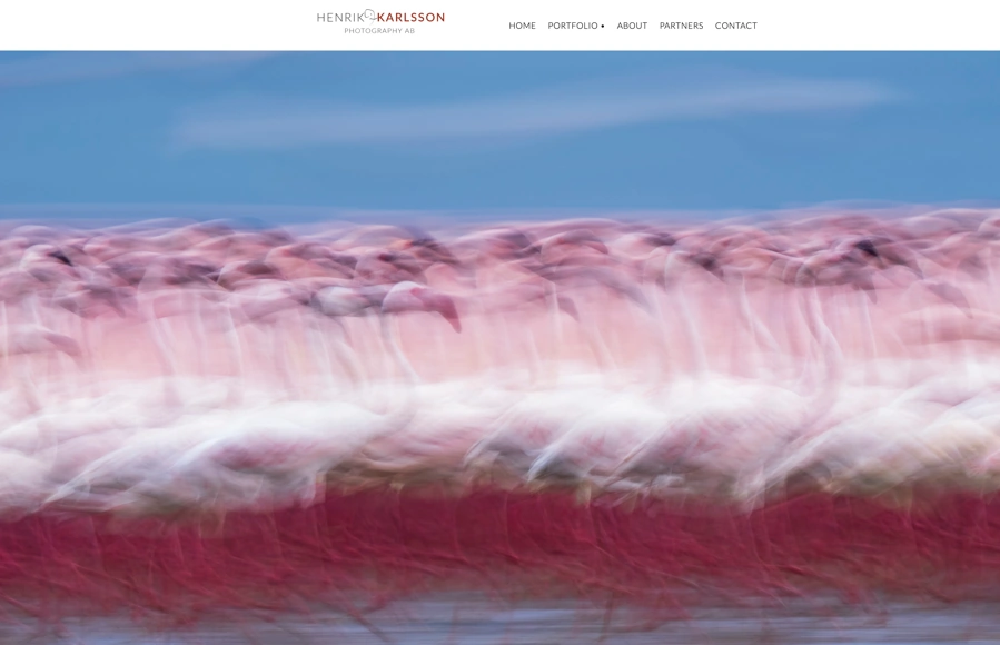 Screenshot from www.hknaturfoto.se