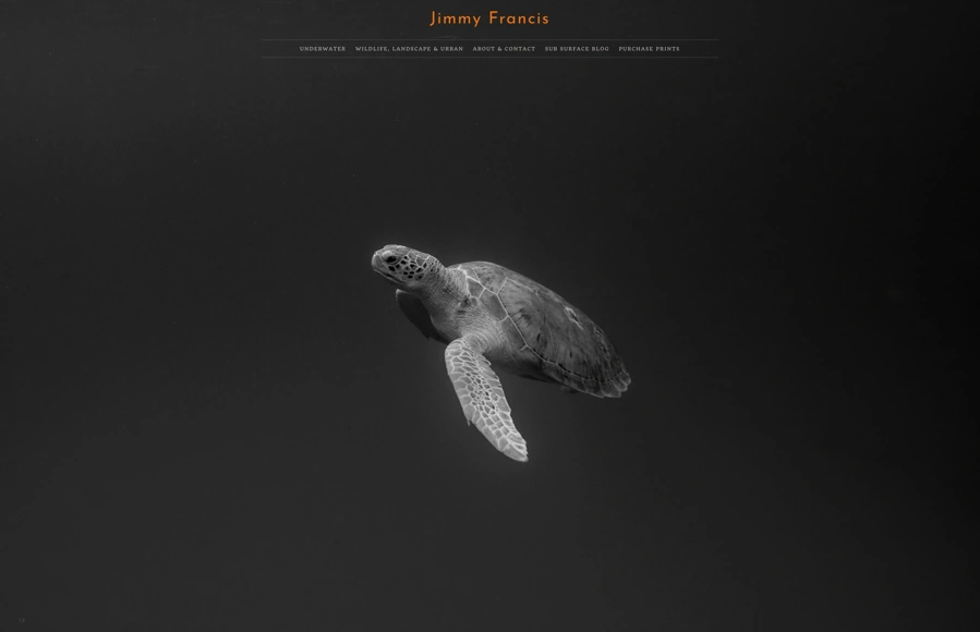 Screenshot from www.jimmyfrancisphoto.com