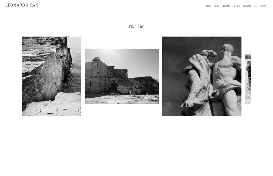 Screenshot from www.leonardosani.com