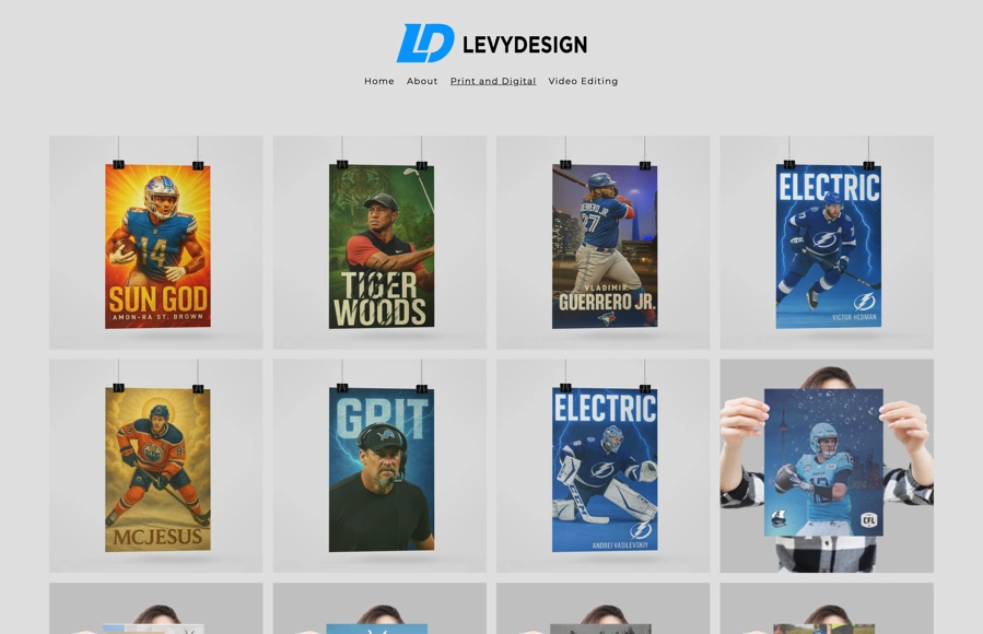 Screenshot from www.levydesign.ca