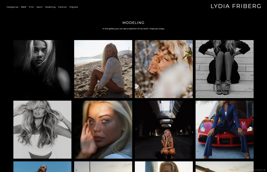 Screenshot from www.lydia-friberg.com