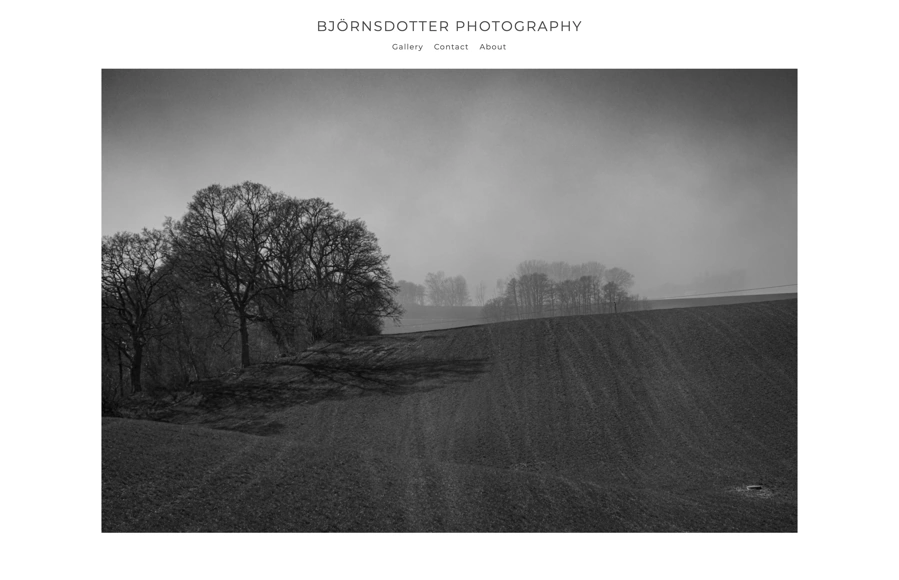 Screenshot from www.malinmorell.com