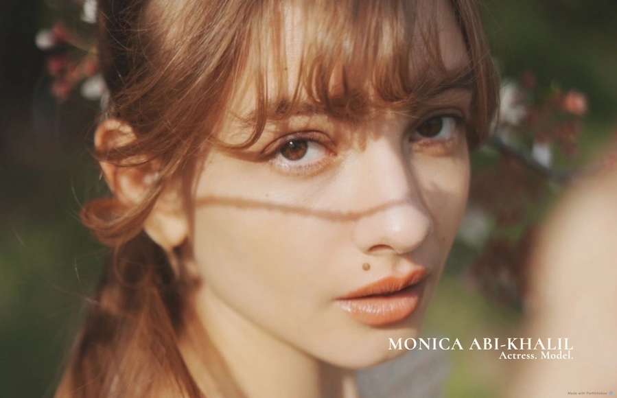 Screenshot from www.monica-abi-khalil.com