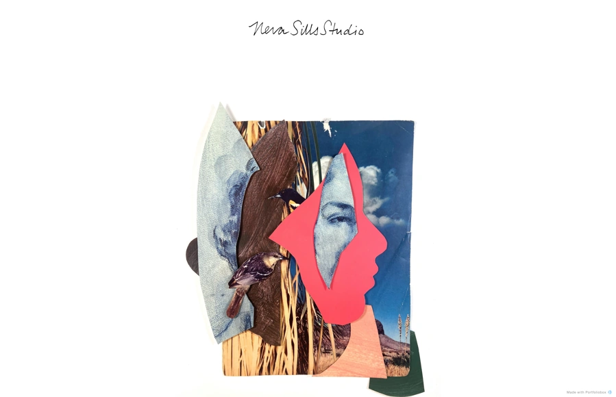 Screenshot from www.nevasills.com