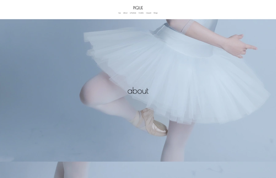 Screenshot from www.piquephoto.jp