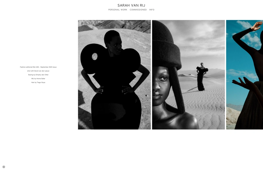 Screenshot from www.sarahvanrij.com