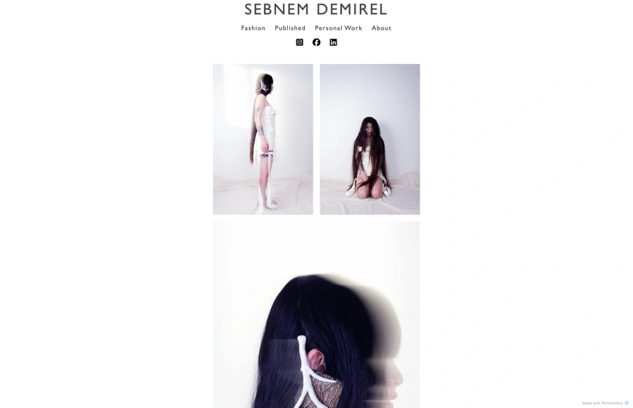 Screenshot from www.sebnemdemirel.com