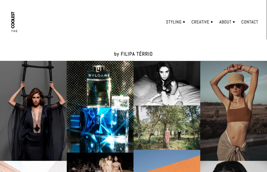 Screenshot from www.thecoolestconcept.com