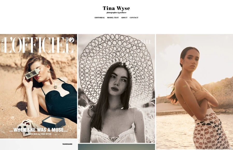 Screenshot from www.tinawyse.com