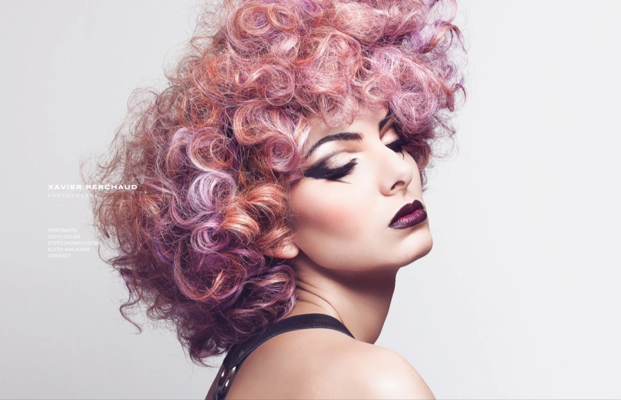 Screenshot from www.xavierperchaud.com